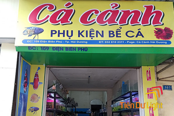 Bảng hiệu cá cảnh đẹp