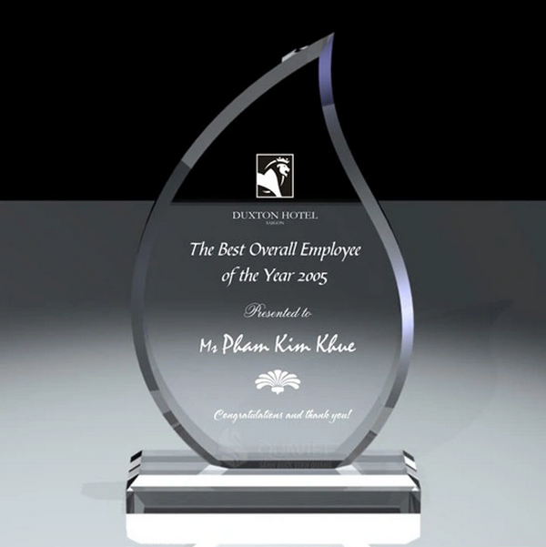 Tham khảo mẫu kỷ niệm chương mica đẹp