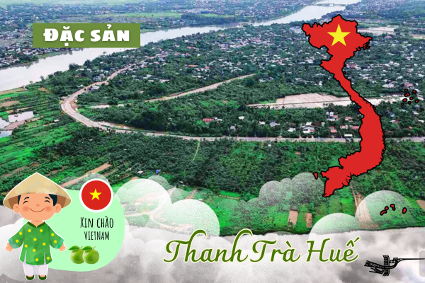 Trái Thanh Trà Huế được trồng nhiều ở vùng đất Thủy Biều