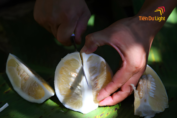 Cách sử dụng quả Thanh Trà Huế