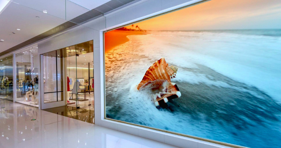 Hình ảnh sắc nét, màu sắc sống động