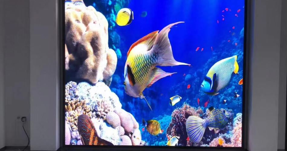 Hình ảnh sắc nét