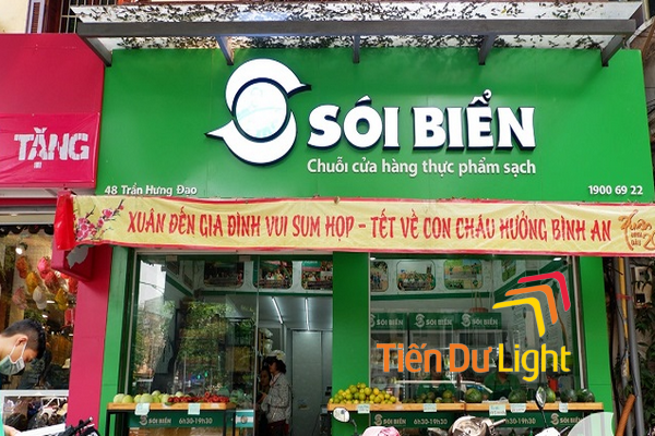 Các loại biển màu xanh lá cây phổ biến