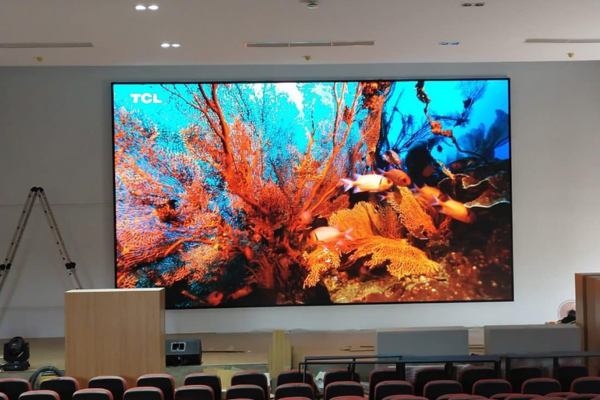 Khả năng trình chiếu đa dạng