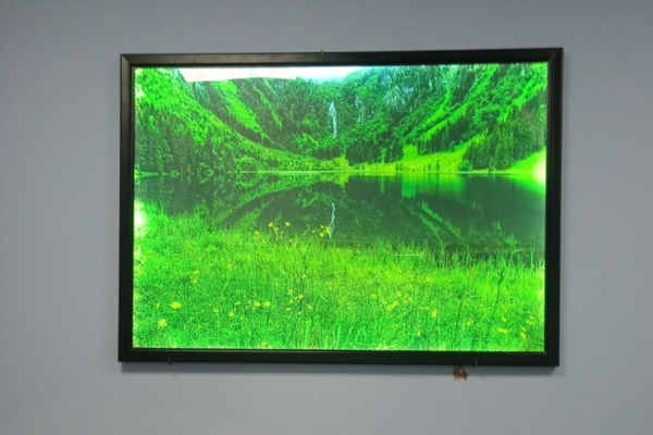 Tranh điện phong cảnh treo tường